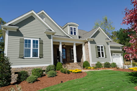 What Are The Black Streaks On Your Home?